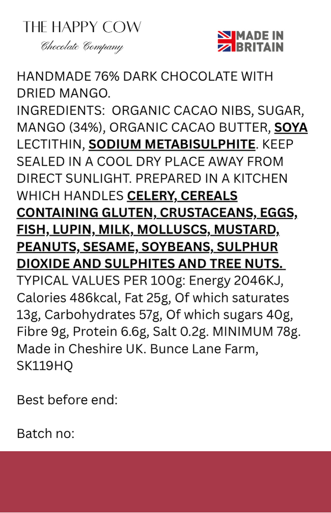 Handmade 76% Dark Chocolate with Dried Mango